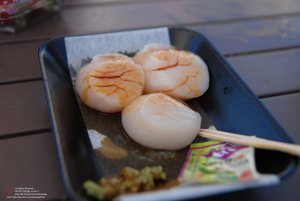 20170106085456_NIKON D200.jpg